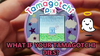 Tamagotchi PIX What if Your Tamagotchi Dies [upl. by Nole]