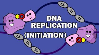 DNA REPLICATION 13  INITIATION [upl. by Hnahym101]