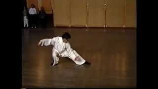 Master Kai Ying Tung performing Tai Chi Chuan traditionel ya [upl. by Noj159]