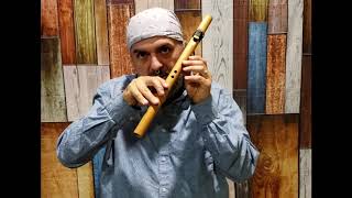 How to Play the Native American Flute in under 10 minutes EASY Lesson 1 [upl. by Ninetta]