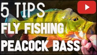 HOW TO FLY FISH for Peacock Bass [upl. by Yam587]