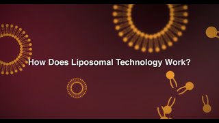 Dr Mercola How Does Liposomal Technology Work [upl. by Einavoj]