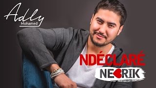 Mohamed Adly  Ndéclaré Nebrik EXCLUSIVE Lyric Clip  محمد عدلي  نديكلاري نبغيك حصريأ [upl. by Denae381]