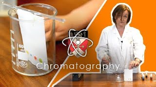 Chromatography  GCSE Science Required Practical [upl. by Kcirdet639]