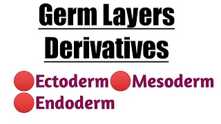 Germ Layers Derivatives  Ectoderm  Mesoderm  Endoderm [upl. by Nwahsid]