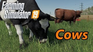 Farming Simulator 19 Tutorial  Cows [upl. by Henrique]