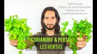 Coriandre amp Persil  LES VERTUS NATUROPATHIQUE [upl. by Annavas]