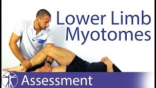 Myotomes Lower Limb  Peripheral Neurological Examination [upl. by Kus381]