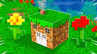 I Built the Worlds SMALLEST Minecraft House tiny [upl. by Auberta651]