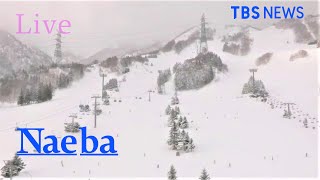 【LIVE】苗場スキー場 ライブカメラ  Naeba Niigata JAPAN2021年1月4日 [upl. by Noedig]