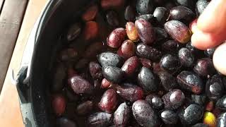 Classic home made organic kalamata olives [upl. by Blackstock]