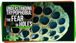 Understanding Trypophobia The Fear of Holes [upl. by Naffets]