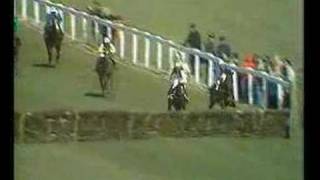 Alan Partridge  Horse racing commentary [upl. by Nauqaj]