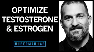 TESTOSTERONE How To Increase Testosterone amp Its Effects Naturally Boost Low Levels [upl. by Daggna76]