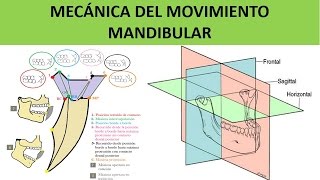 MECÁNICA DEL MOVIMIENTO MANDIBULAR [upl. by Rebecca]