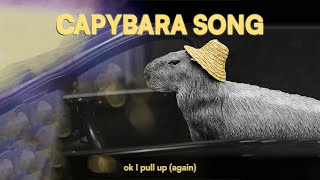 ok I pull up again  capybara song [upl. by Christos286]