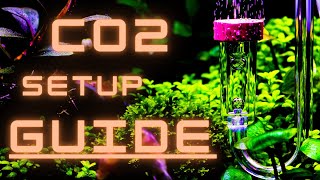 EVERYTHING YOU NEED TO KNOW TO SETUP A CO2 SYSTEM FOR YOUR AQUARIUM [upl. by Navap269]