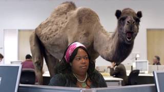 Geico Hump Day Bible Study Commercial [upl. by Lerad]