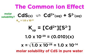 The Common Ion Effect [upl. by Niamrahc]