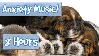 SLEEP MUSIC FOR ANXIOUS DOGS  8 Hour Playlist to Relax Nervous Dogs and Puppies with Anxiety 🐶 💤 [upl. by Aihseuqal]