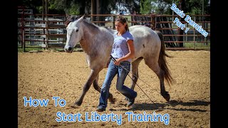 How To Start Liberty Training With Your Horse Basic Exercises Part 1 [upl. by Lucius664]