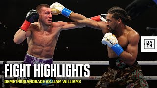 HIGHLIGHTS  Demetrius Andrade vs Liam Williams [upl. by Niwrehs]