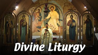 Divine Liturgy [upl. by Ettelimay]