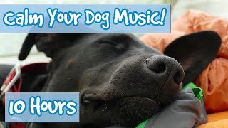 How to Calm Your Dog Down Music Relaxing Music for Dogs to Stop Anxiety and Help Keep them Calm 🐶 [upl. by Enilram]