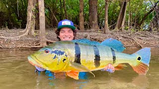 Viaje más de 4000 km para Pescar este TROFEO Tucunare  COLOMBIA 1 [upl. by Nancey367]