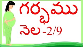 Pregnancy Telugu  Month 2  గర్భం నెల  2 [upl. by Aicnelav]