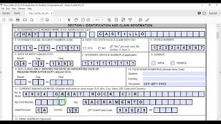 Auto PDF Form Filling Application in Excel VBA [upl. by Benedicto140]