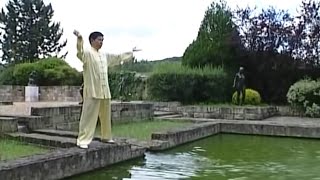 Les 18 exercices du Tai Ji Qi Gong [upl. by Mattox]