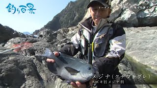 【釣り百景】367 大分県・米水津の磯 トーナメンター田中修司が魅せる寒グレ [upl. by Daus982]