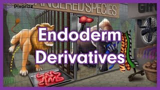 Endoderm Derivatives Mnemonic  MCAT Preview [upl. by Leiva941]