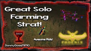 DAoC Phoenix Server  Great Solo Farming Strategy  Albion Cabalist [upl. by Anaic]