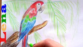 Papagei zeichnen mit Lena 🦜 Vogel malen🦜 How to draw a parrot 🦜 Bird drawing🦜 как нарисовать попугая [upl. by Anaugahs]