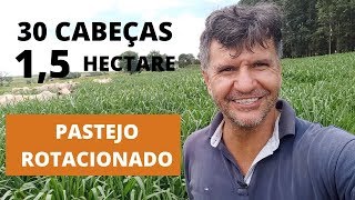 30 CABECÌ§AS EM 15 UM HECTARE E MEIO E MESMO ASSIM ESTÃ SOBRANDO CAPIM [upl. by Ibmab]