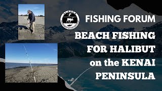 Online Fishing Forum Beach Fishing for Halibut on Alaska’s Kenai Peninsula [upl. by Grossman435]