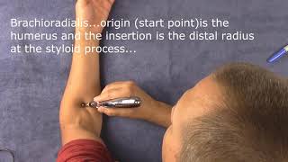 Meridian Pen Electric Acupuncture pen and how it works [upl. by Zillah]