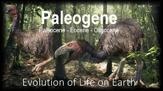 The Evolution of Life part 11  Paleogene [upl. by Jocko]