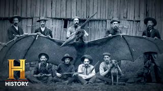 The UnXplained Pterodactyl Creature Spotted in 1800s Arizona Season 4 [upl. by Litha]