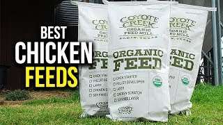 Top 5 Best Chicken Feed for Laying Hens [upl. by Magna622]