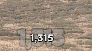 Long Range Hunting  54 KILL SHOTS  Extreme Outer Limits TV [upl. by Llenad968]