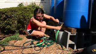 Using Rain Barrels to Irrigate Your Garden [upl. by Aicilanna]