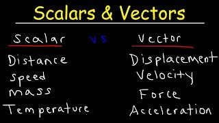 Scalars and Vectors [upl. by Eskil]