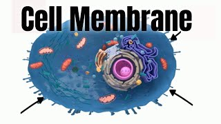 Cell membraneStructure and Function [upl. by Shani96]