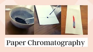 Paper Chromatography Chemistry Practical  Class 12  CBSE 2021  Bhatia Mam Classes [upl. by Salman]