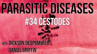 Parasitic Diseases Lectures 34 Cestodes [upl. by Kcinomod254]