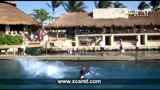 Enamórate de Delphinus Xcaret 🐬 [upl. by Lorrad115]