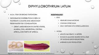 Cestoda 3 of 3 [upl. by Brianna]